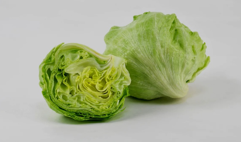 Ice Berg Lettuce USA